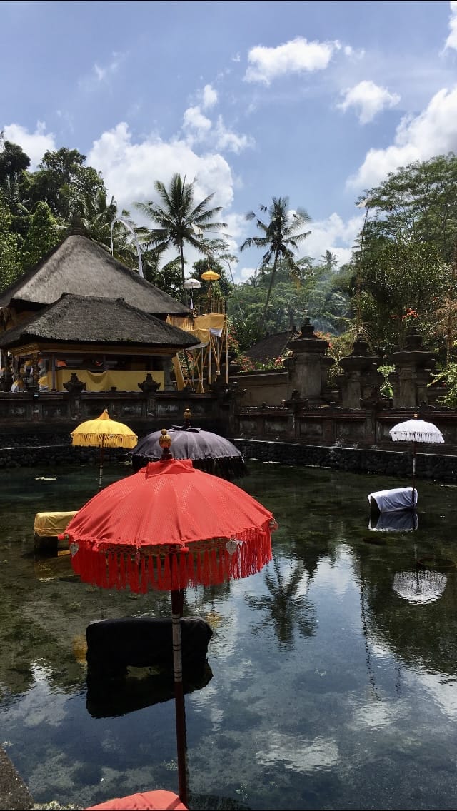 Pura Tirtha Empul Holy Springs - photo 2