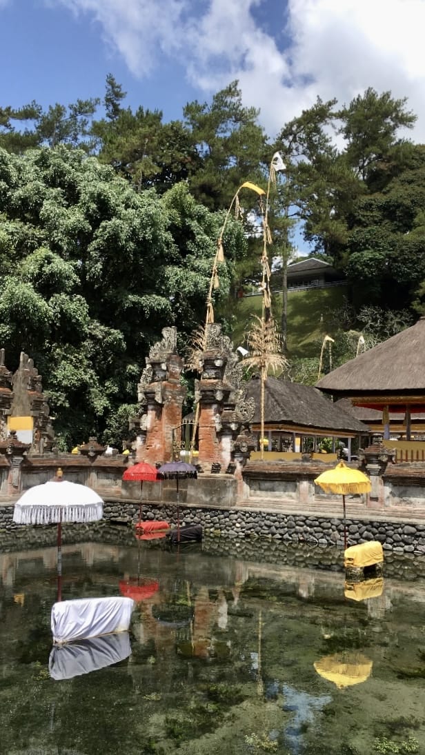 Pura Tirtha Empul Holy Springs - photo 3