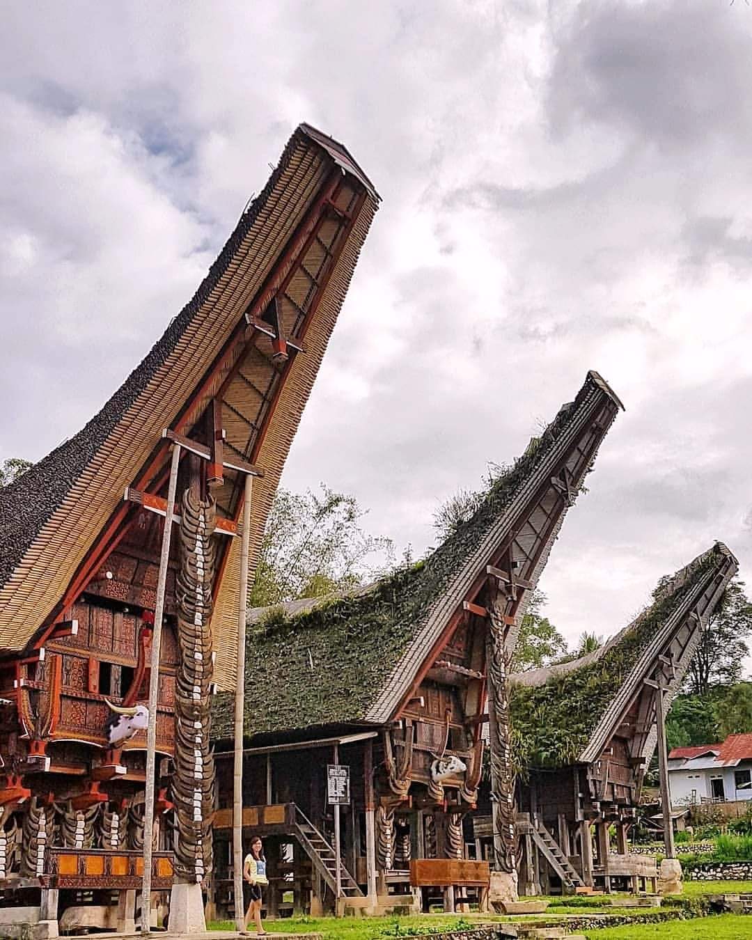 Tana Toraja Culture - photo 4