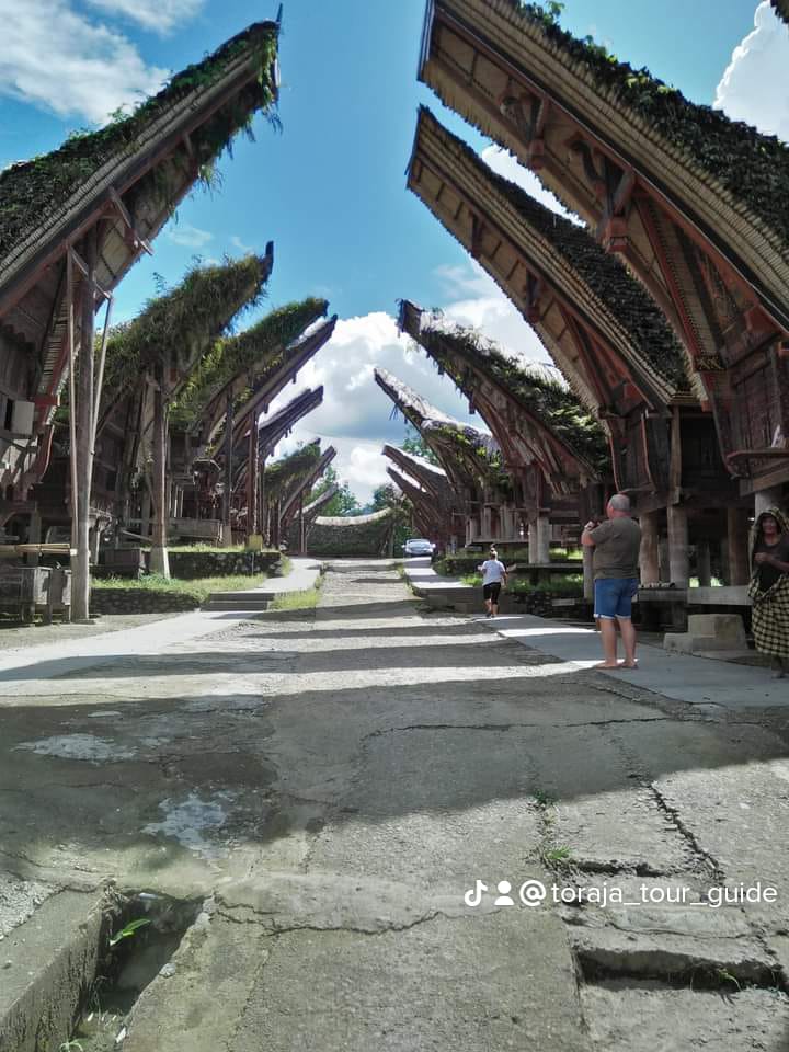 Tana Toraja Culture - photo 6